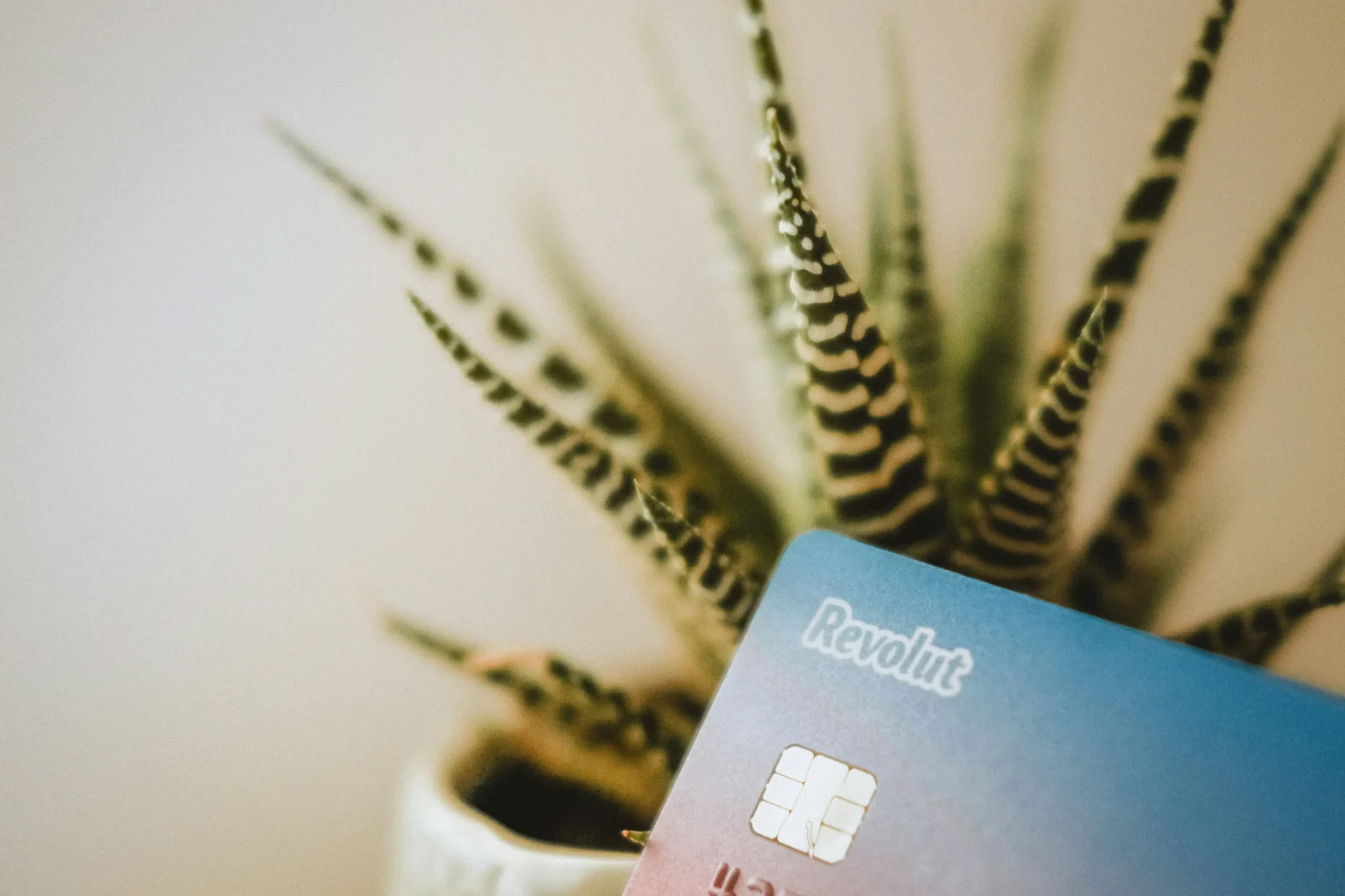 How to Use Credit Cards Safely Online
